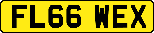 FL66WEX