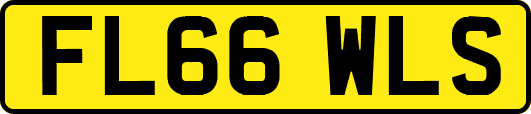 FL66WLS