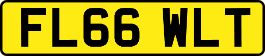 FL66WLT