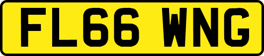 FL66WNG