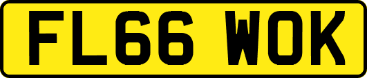FL66WOK