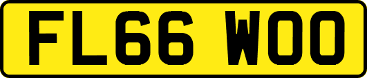 FL66WOO