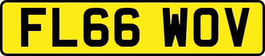 FL66WOV