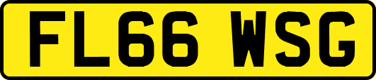 FL66WSG