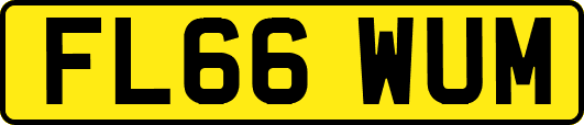 FL66WUM