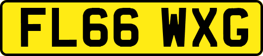 FL66WXG
