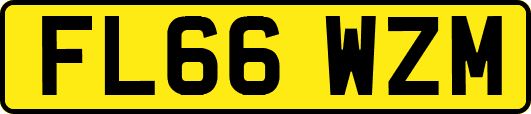FL66WZM