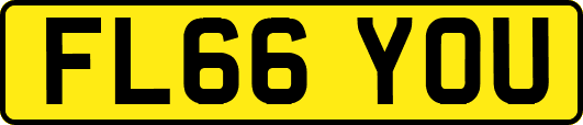 FL66YOU
