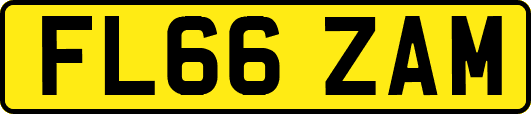 FL66ZAM