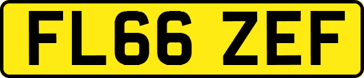 FL66ZEF