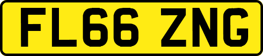 FL66ZNG