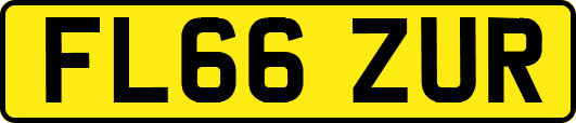 FL66ZUR