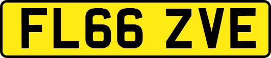 FL66ZVE
