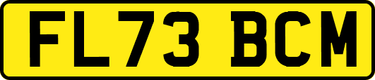 FL73BCM