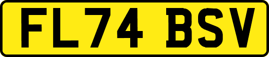 FL74BSV
