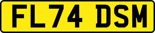 FL74DSM