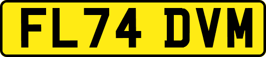 FL74DVM