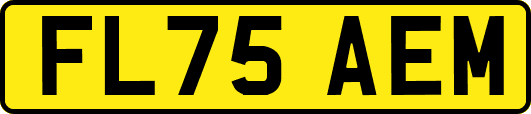 FL75AEM