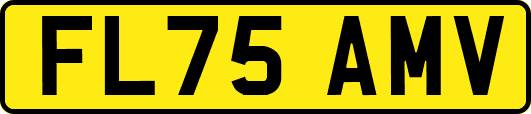 FL75AMV