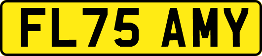 FL75AMY