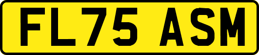 FL75ASM