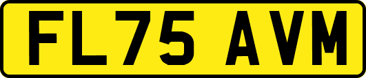 FL75AVM