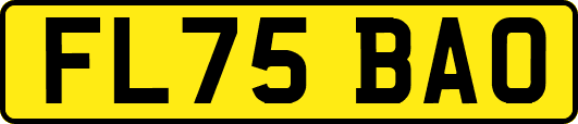 FL75BAO