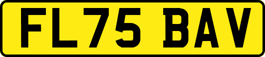 FL75BAV