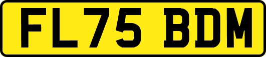 FL75BDM
