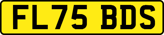 FL75BDS