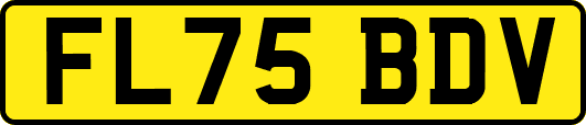 FL75BDV