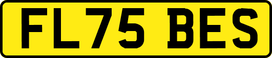 FL75BES