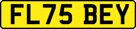 FL75BEY