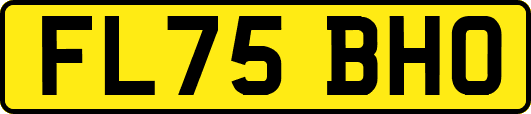 FL75BHO