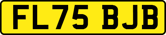 FL75BJB
