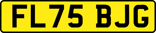 FL75BJG