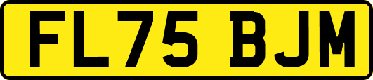 FL75BJM