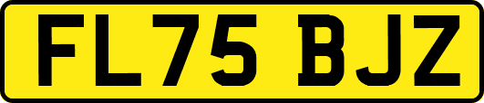 FL75BJZ