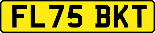 FL75BKT