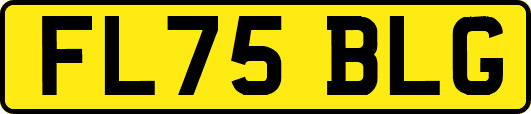 FL75BLG