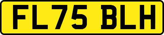 FL75BLH