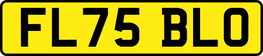 FL75BLO