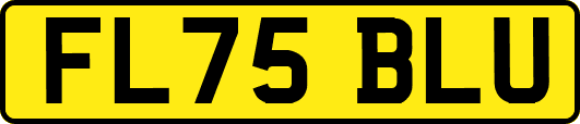 FL75BLU