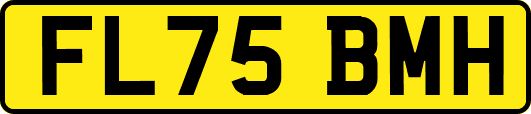 FL75BMH