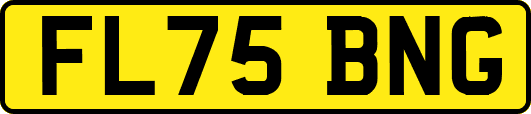 FL75BNG
