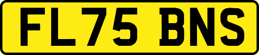 FL75BNS