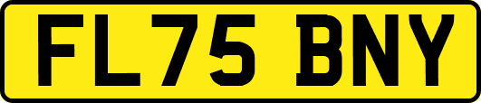 FL75BNY