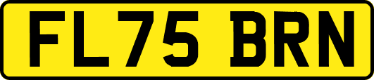 FL75BRN