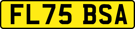 FL75BSA