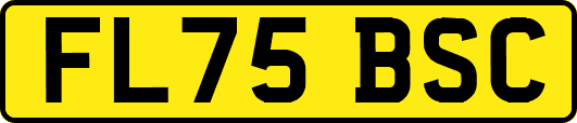 FL75BSC
